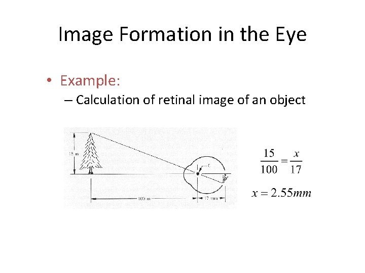 Image Formation in the Eye • Example: – Calculation of retinal image of an