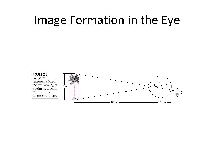 Image Formation in the Eye 