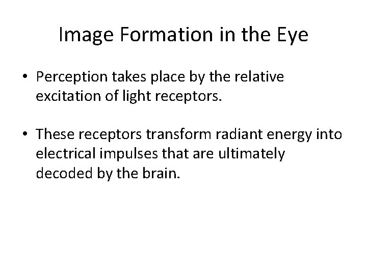 Image Formation in the Eye • Perception takes place by the relative excitation of