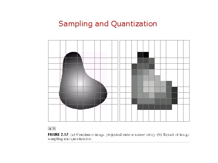 Sampling and Quantization 