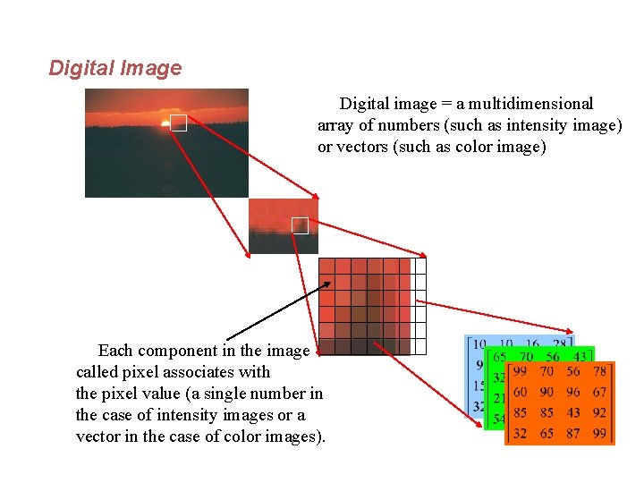 Digital Image Digital image = a multidimensional array of numbers (such as intensity image)