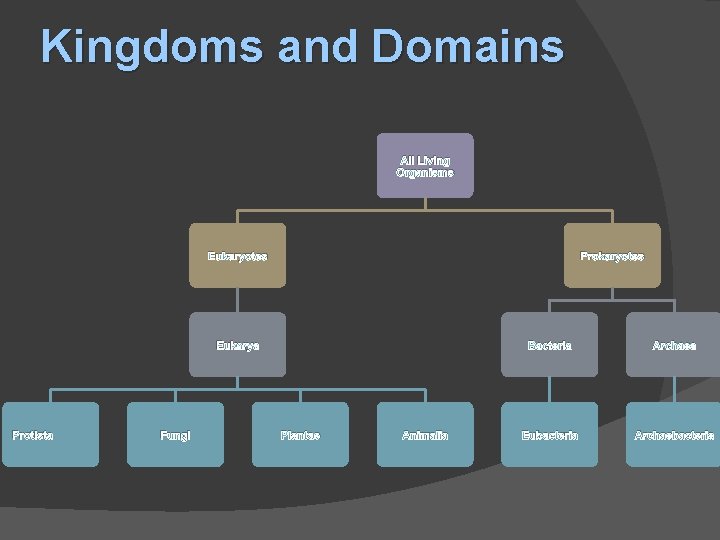 Kingdoms and Domains All Living Organisms Eukaryotes Prokaryotes Eukarya Protista Fungi Plantae Animalia Bacteria