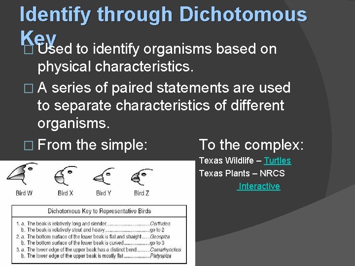 Identify through Dichotomous Key � Used to identify organisms based on physical characteristics. �