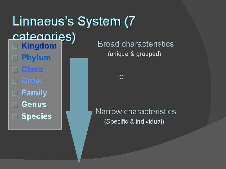 Linnaeus’s System (7 categories) Broad characteristics � � � � Kingdom Phylum Class Order