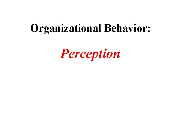 Organizational Behavior: Perception 