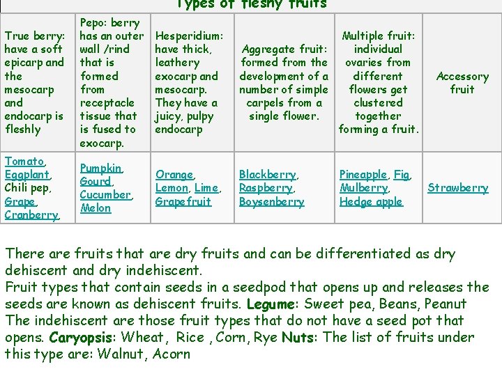 Types of fleshy fruits True berry: have a soft epicarp and the mesocarp and