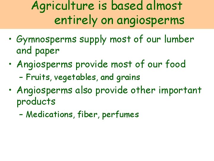 Agriculture is based almost entirely on angiosperms • Gymnosperms supply most of our lumber
