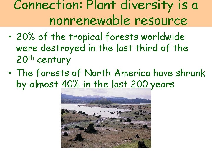 Connection: Plant diversity is a nonrenewable resource • 20% of the tropical forests worldwide