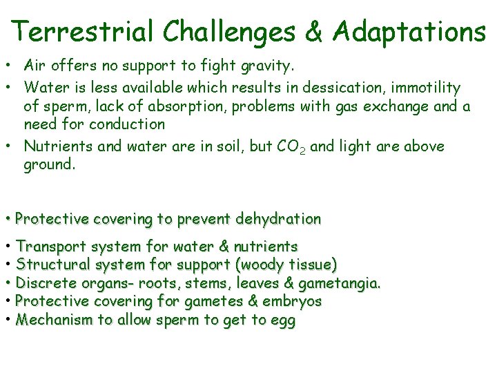 Terrestrial Challenges & Adaptations • Air offers no support to fight gravity. • Water
