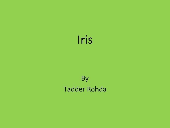 Iris By Tadder Rohda 