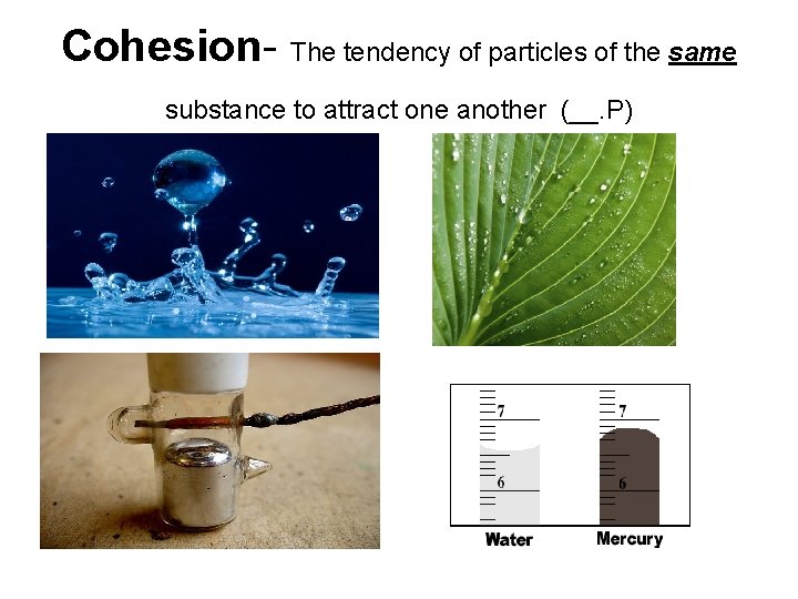 Cohesion- The tendency of particles of the same substance to attract one another (__.