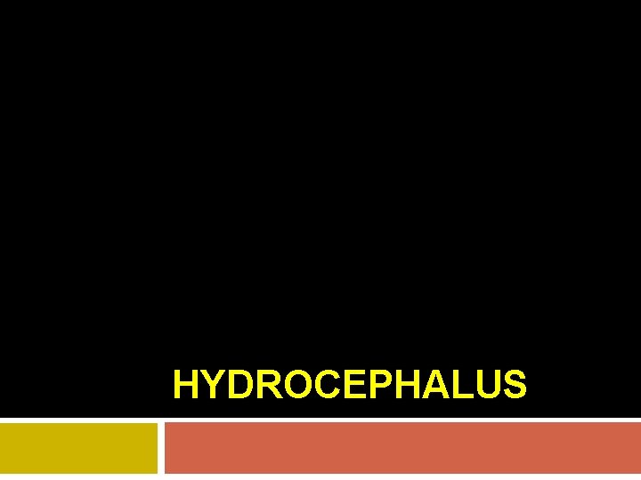 HYDROCEPHALUS 