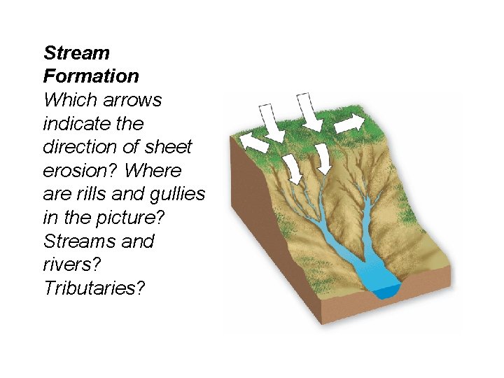 Stream Formation Which arrows indicate the direction of sheet erosion? Where are rills and