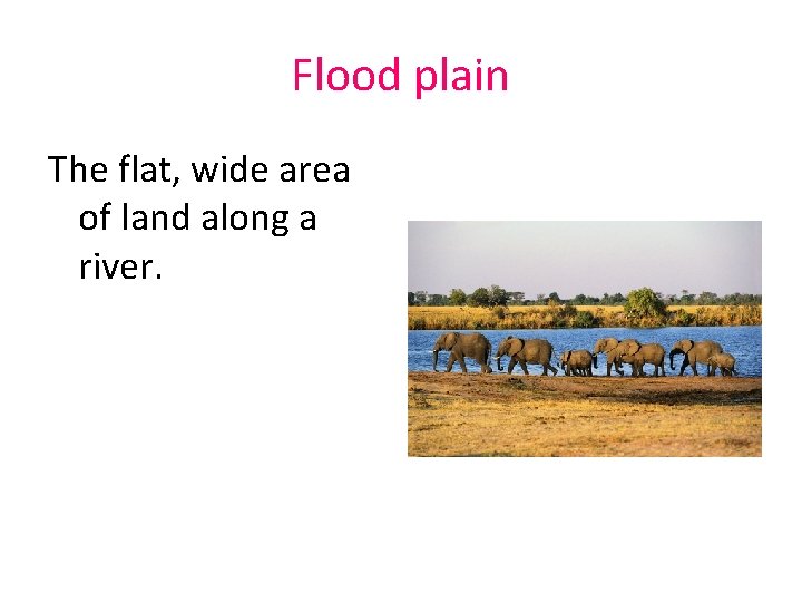 Flood plain The flat, wide area of land along a river. 