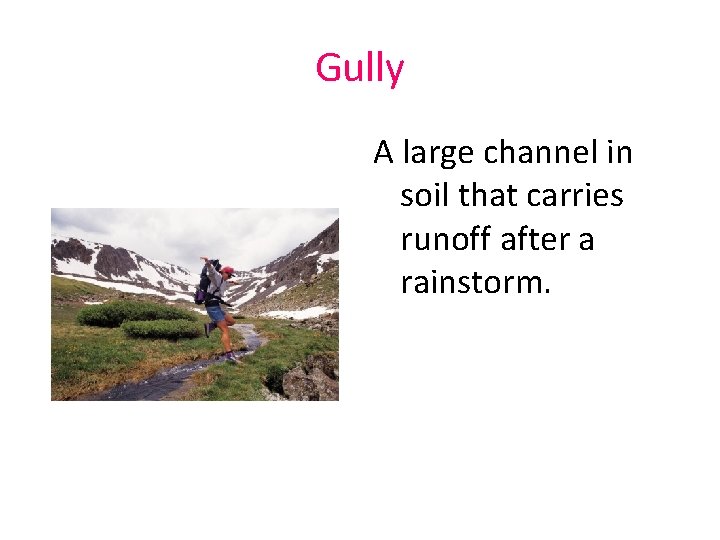Gully A large channel in soil that carries runoff after a rainstorm. 
