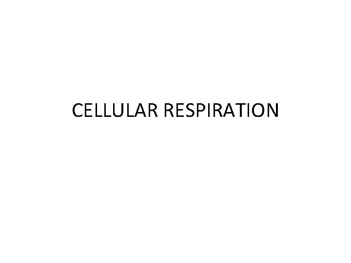 CELLULAR RESPIRATION 