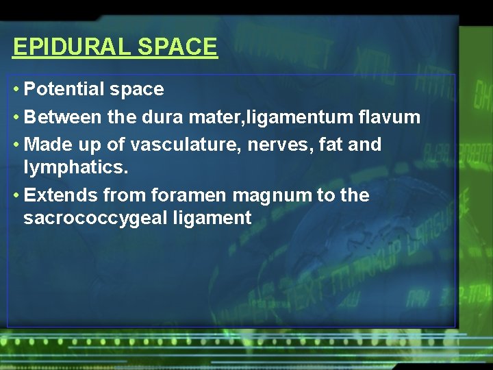 EPIDURAL SPACE • Potential space • Between the dura mater, ligamentum flavum • Made