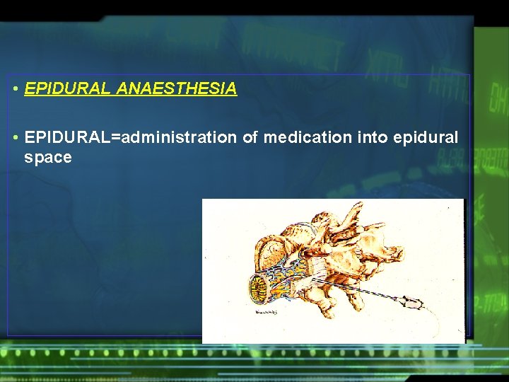  • EPIDURAL ANAESTHESIA • EPIDURAL=administration of medication into epidural space 