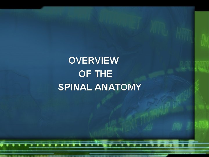 OVERVIEW OF THE SPINAL ANATOMY 