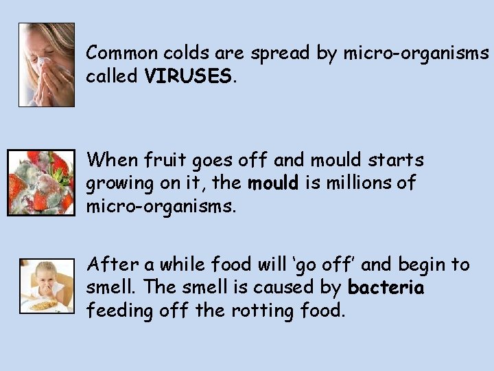 Common colds are spread by micro-organisms called VIRUSES. When fruit goes off and mould