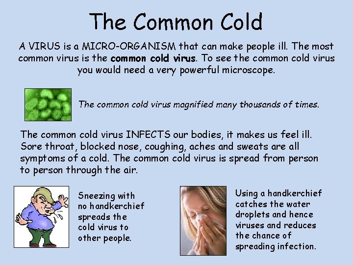 The Common Cold A VIRUS is a MICRO-ORGANISM that can make people ill. The