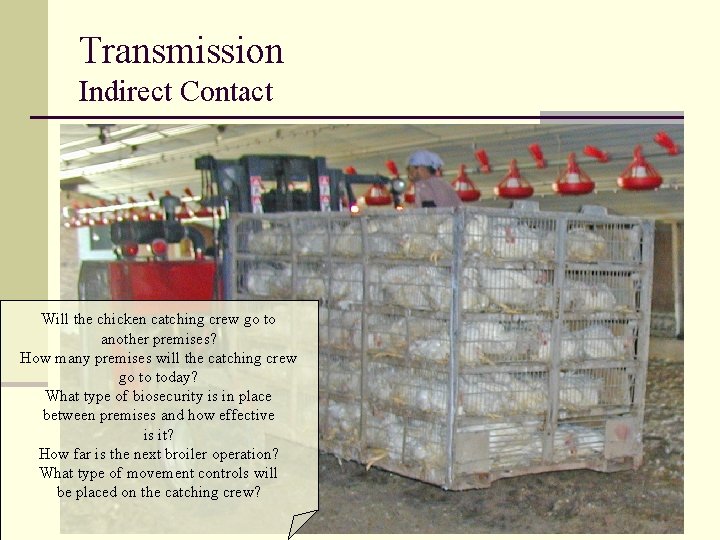 Transmission Indirect Contact Will the chicken catching crew go to another premises? How many