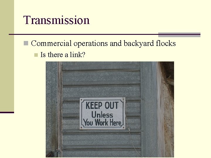 Transmission n Commercial operations and backyard flocks n Is there a link? 