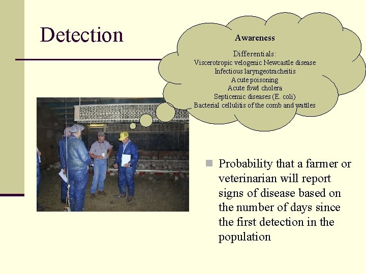 Detection Awareness Differentials: Viscerotropic velogenic Newcastle disease Infectious laryngeotracheitis Acute poisoning Acute fowl cholera