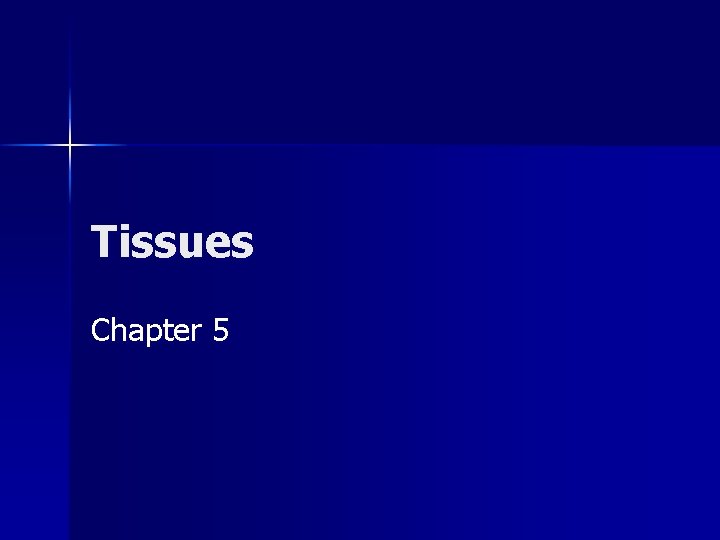 Tissues Chapter 5 