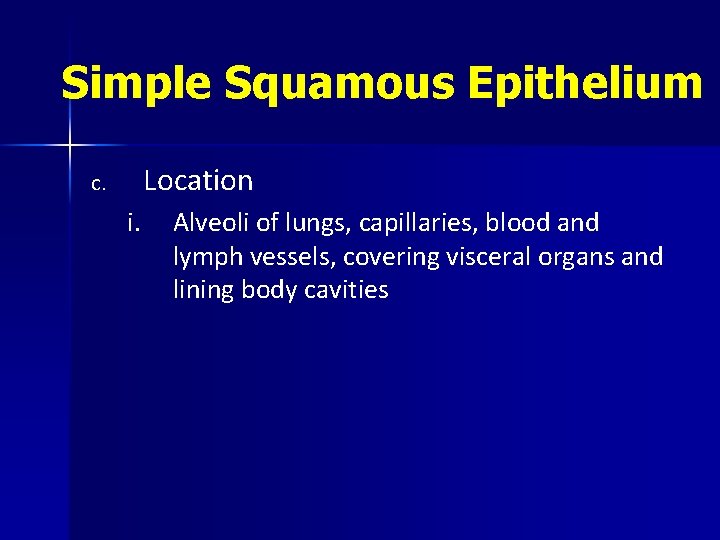 Simple Squamous Epithelium Location c. i. Alveoli of lungs, capillaries, blood and lymph vessels,