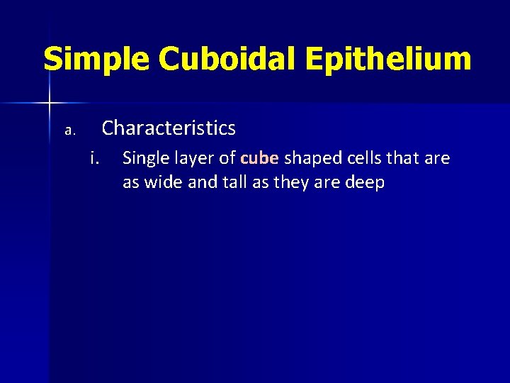Simple Cuboidal Epithelium Characteristics a. i. Single layer of cube shaped cells that are