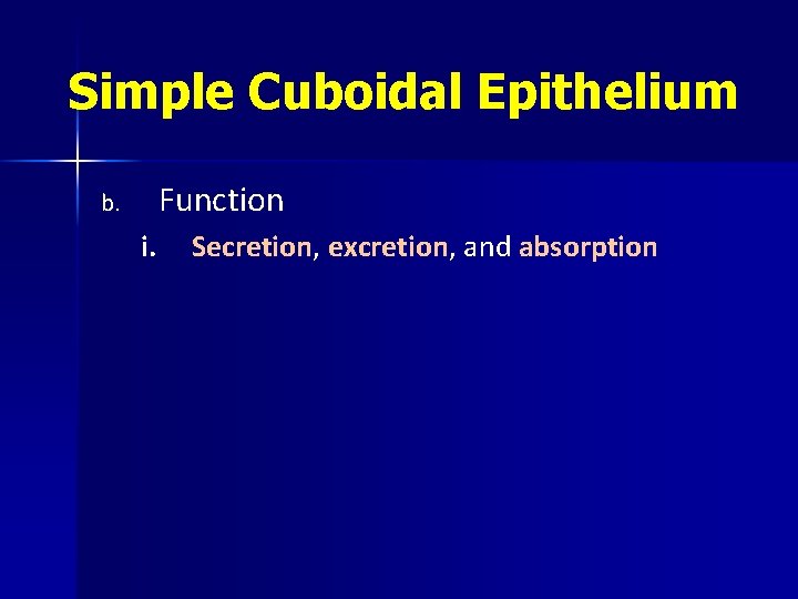 Simple Cuboidal Epithelium Function b. i. Secretion, excretion, and absorption Simple Cuboidal Epithelium Function b. i. Secretion, excretion, and absorption