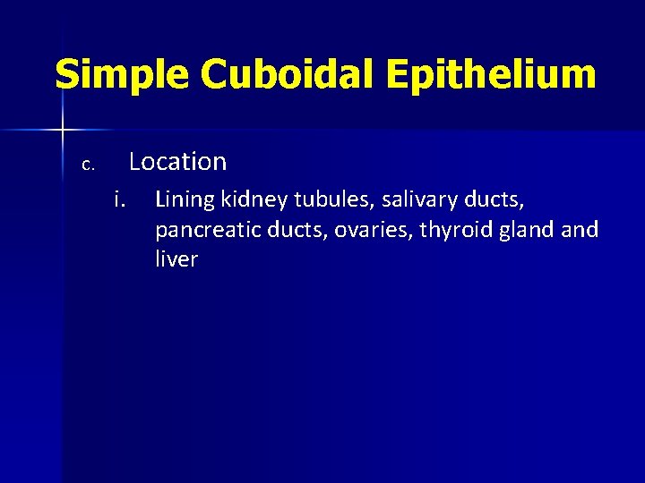 Simple Cuboidal Epithelium Location c. i. Lining kidney tubules, salivary ducts, pancreatic ducts, ovaries,