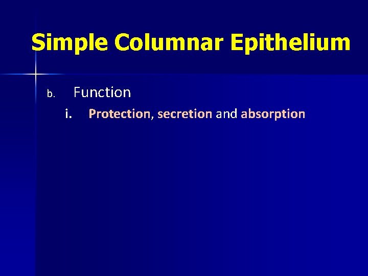 Simple Columnar Epithelium Function b. i. Protection, secretion and absorption 