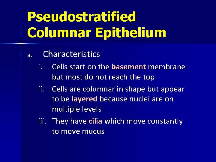Pseudostratified Columnar Epithelium Characteristics a. i. Cells start on the basement membrane but most