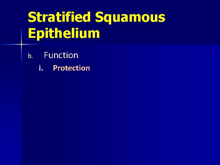 Stratified Squamous Epithelium Function b. i. Protection 