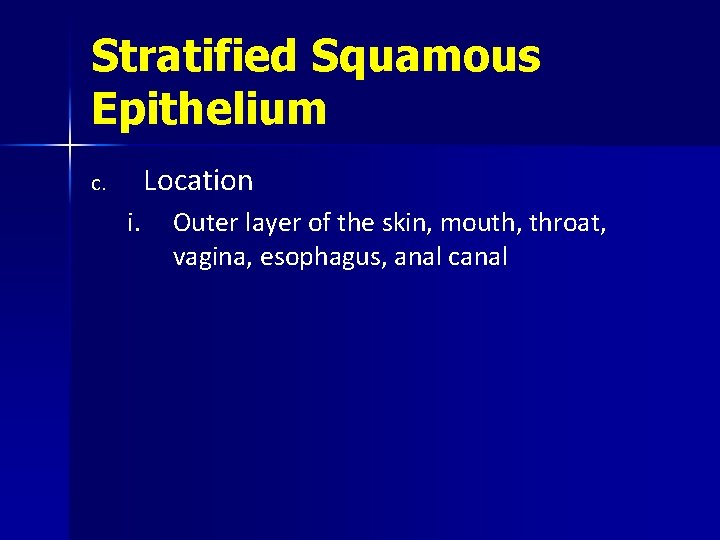 Stratified Squamous Epithelium Location c. i. Outer layer of the skin, mouth, throat, vagina,