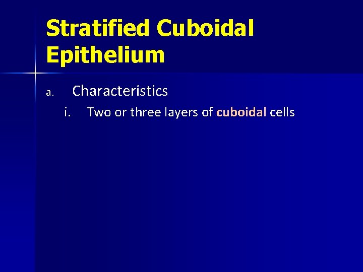 Stratified Cuboidal Epithelium Characteristics a. i. Two or three layers of cuboidal cells 