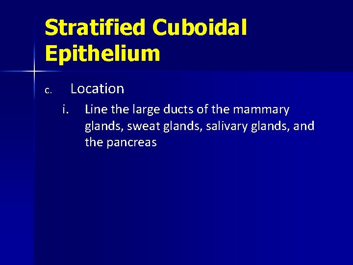 Stratified Cuboidal Epithelium Location c. i. Line the large ducts of the mammary glands,
