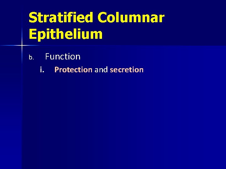 Stratified Columnar Epithelium Function b. i. Protection and secretion 