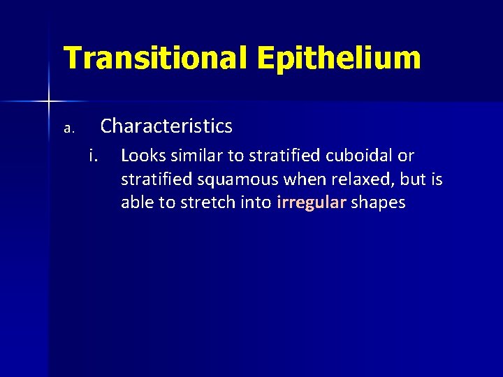Transitional Epithelium Characteristics a. i. Looks similar to stratified cuboidal or stratified squamous when