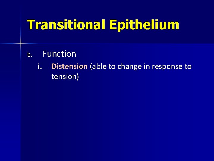 Transitional Epithelium Function b. i. Distension (able to change in response to tension) 