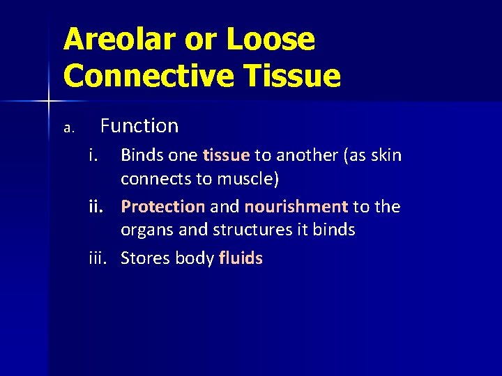 Areolar or Loose Connective Tissue Function a. i. Binds one tissue to another (as
