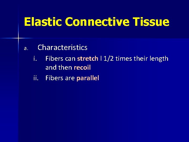Elastic Connective Tissue Characteristics a. i. Fibers can stretch l 1/2 times their length