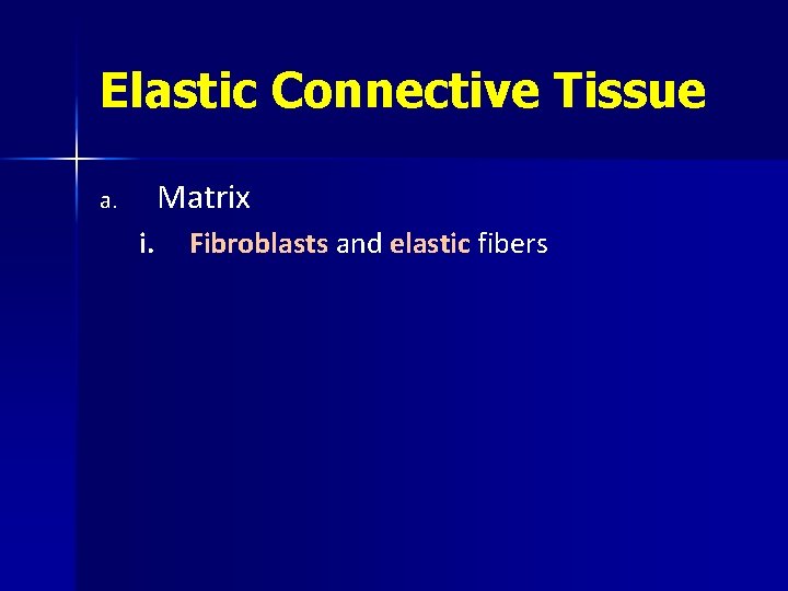 Elastic Connective Tissue Matrix a. i. Fibroblasts and elastic fibers 