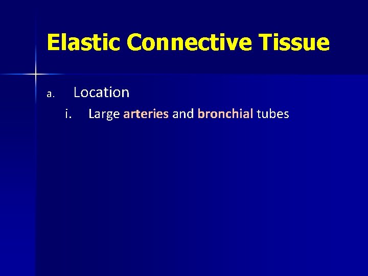 Elastic Connective Tissue Location a. i. Large arteries and bronchial tubes 