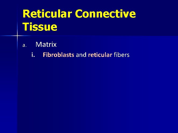 Reticular Connective Tissue Matrix a. i. Fibroblasts and reticular fibers 