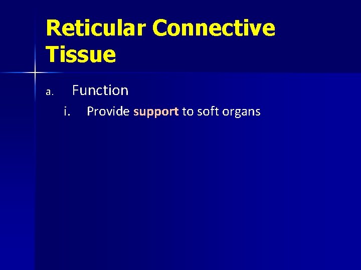 Reticular Connective Tissue Function a. i. Provide support to soft organs 