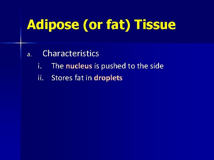 Adipose (or fat) Tissue a. Characteristics i. ii. The nucleus is pushed to the