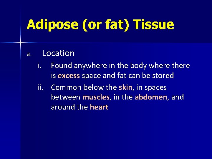 Adipose (or fat) Tissue Location a. i. Found anywhere in the body where there